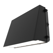 Viewpoint Wall Pack (VWM)