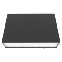 Viewpoint Wall Pack (VWM)